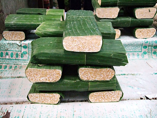 Image of Tempeh blocks wrapped in leaves.