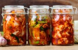 Positive Microbiome Diversity Impacts from Fermented-Food Diets