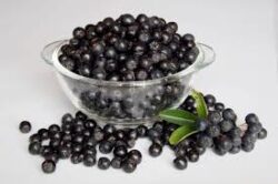 Aronia berries in a glass bowl